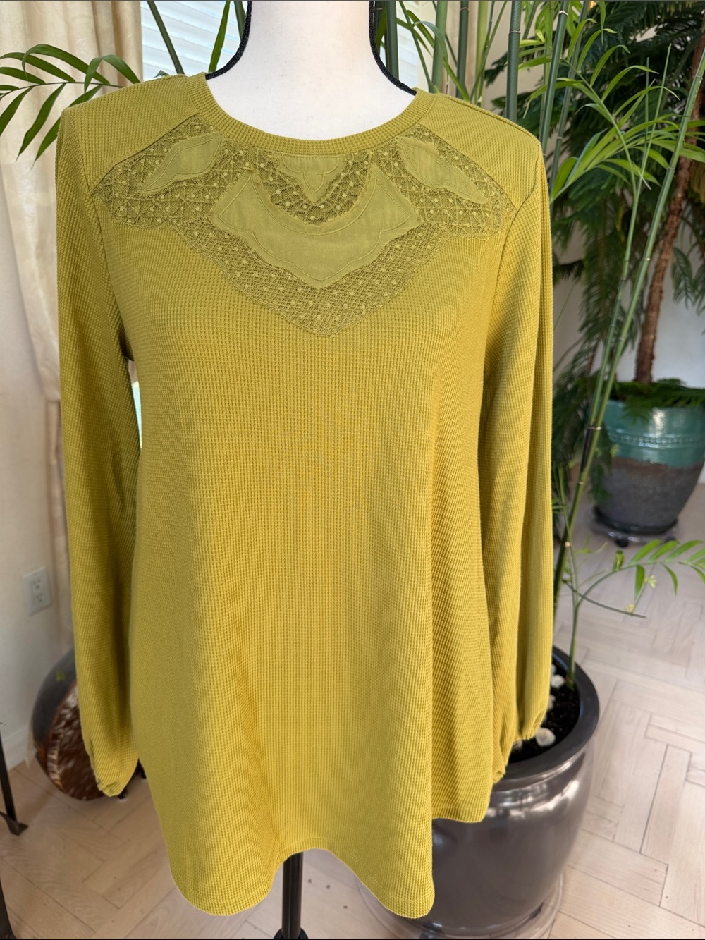 LOGO by Lori Goldstein Olive Green Lace Yoke Long Sleeve Tee